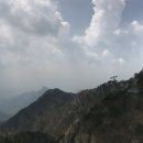 1타이산