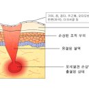 스마트페이스한의원 이미지