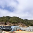 동막상회