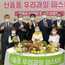 신세계과일 이미지
