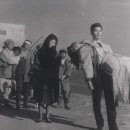 김약국 이미지