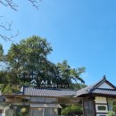 공주 다솜차반소서노 후기