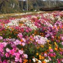 도담정원 이미지