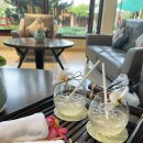 센스엘 | 호이안 실크센스 리조트 : 가성비 최고, 룸, 수영장, 가격, 연박후기 추천