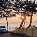 일출여인숙 이미지