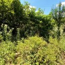 탑중앙부동산공인중개사사무소 이미지