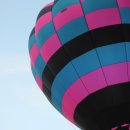 광주 한사랑동물병원 이미지