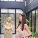 이다해 카카오 검색결과