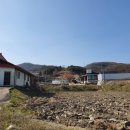 솟티 이미지