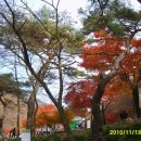 백양주유소 이미지