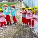 화개초병설유치원 이미지