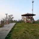 대피소 울릉 이미지