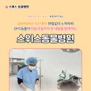 스위스동물병원 이미지