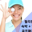 디디씨투어