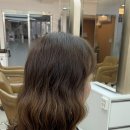 (주)뉴트로스튜디오 | 둔산동미용실 중단발히피펌 잘하는 미용실 ✨ / 이철헤어커커둔산법원점 하림수석실장