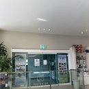 울산착한동물병원 | 울산 원헬스 동물병원, 일요일 진료 다녀온 후기