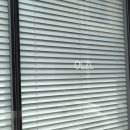 지엘제트 이미지