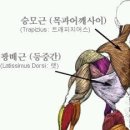 원암 이미지