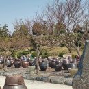 익산 고스락 Daum카페