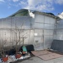 보성농원 이미지