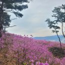 포천 왕방산갑니다 (4월6일) 이미지