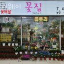 호계동꽃집 플로리웨이 가격 위치 영업시간