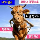 다이루세 이미지