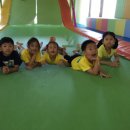 경희대 박사 Tiger kicks 태권도 이미지