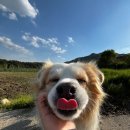 보경토옥