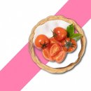 이지몰 - 부천시 소사구 | 이지몰