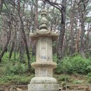 점촌-소로3-334 | 포항 내연산 삼지봉과 뿔당골(2026.6.19)