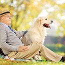 강아지는내친구 이미지