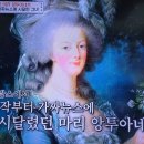 벌거벗은세계사 프랑스혁명과 루이16세 그리고 마리 앙투아네트 6, 루이16세 처형 이미지