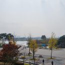산울동 산울1단지 앞 회전교차로 | 살아온 / 사는 / 살아갈 이야기