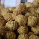 호두톡톡 - 마포구 월드컵로 240 | 호두톡톡
