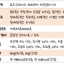 로즈그레이스 이미지