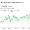 SOXL: 미국 반도체 우량주 30개에 3배 레버지리하는 ETF