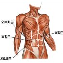 제이스타 이미지