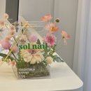 평택 용이동 네일샵 추천 솔네일 - 타샵 제거 + 원컬러 젤네일 후기