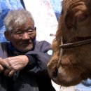 낭 이미지