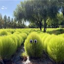 낙동강관리본부 화명생태공원 3 이미지