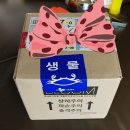 렙토 이미지
