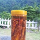 정희농박 이미지