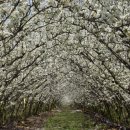 영동황간로1 이미지