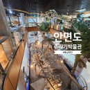 [아이와가볼만한곳] 안면도 쥬라기 박물관