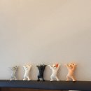 스테이모로(stay moro) | 금산 스테이서하 대전 근교1박2일 촌캉스 솔직후기