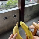 발리 9일차 1 - 현지인 강사에게 서핑배우기! 서핑 대성공!
