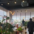 카페드솔레