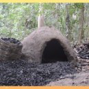 Force of Nature 이미지