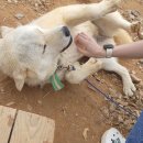 교동농장 이미지